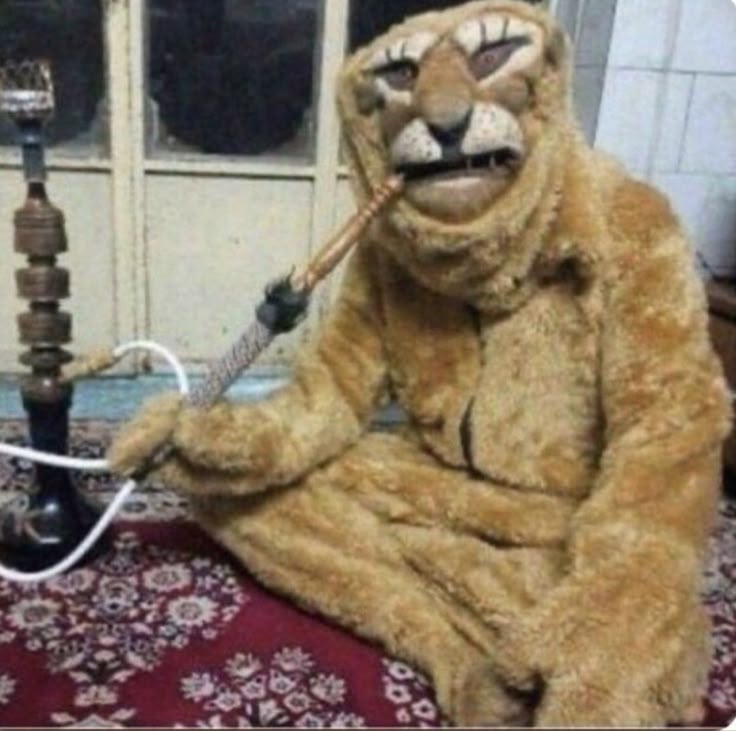 10d9885d2de6e10c2e0f828695d09497