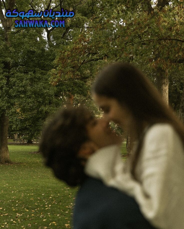 0155e302c2c21bc8356101c3b0a48932