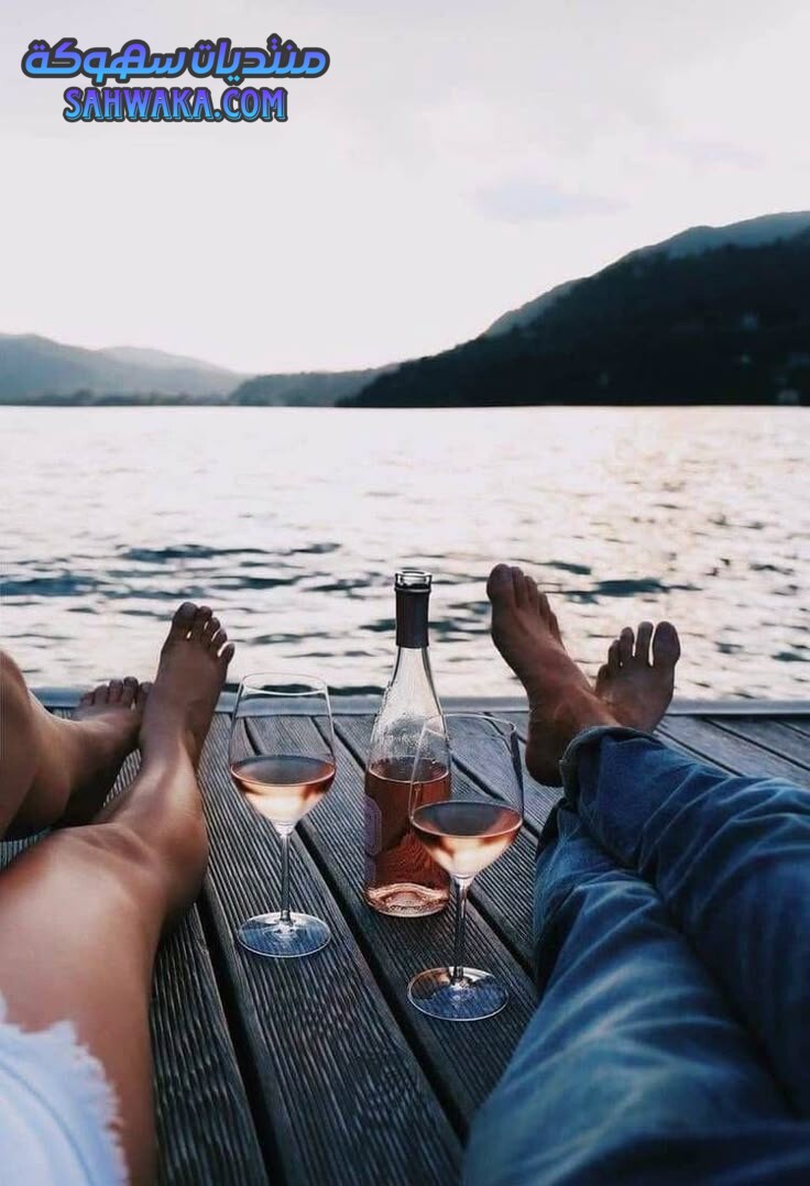 0b771749790ba8d7b527047936dfcaa8