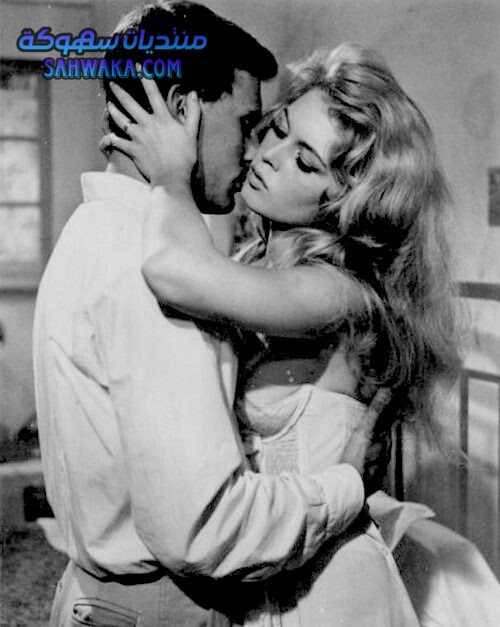 0cd1da198089ce75c7d00ef06617f78d (1)