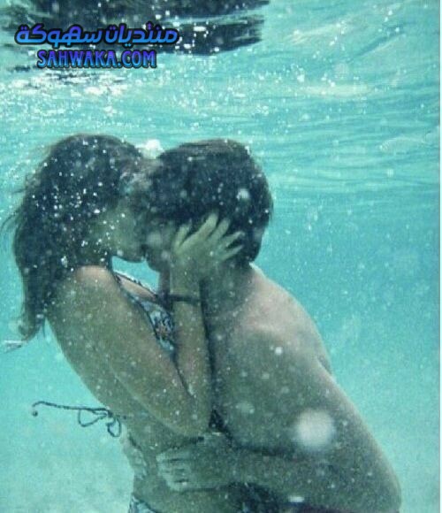 1bebc4fe60dc71139bb0caef871bf833