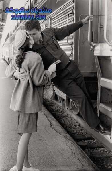 2c9b39fdc587a85e6a92924c27f72f43