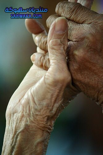 2e2a56bb6612fa4da02fc2b15bded71f