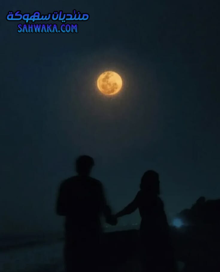 3fb61cc8dabcff1b50474666d398f04c