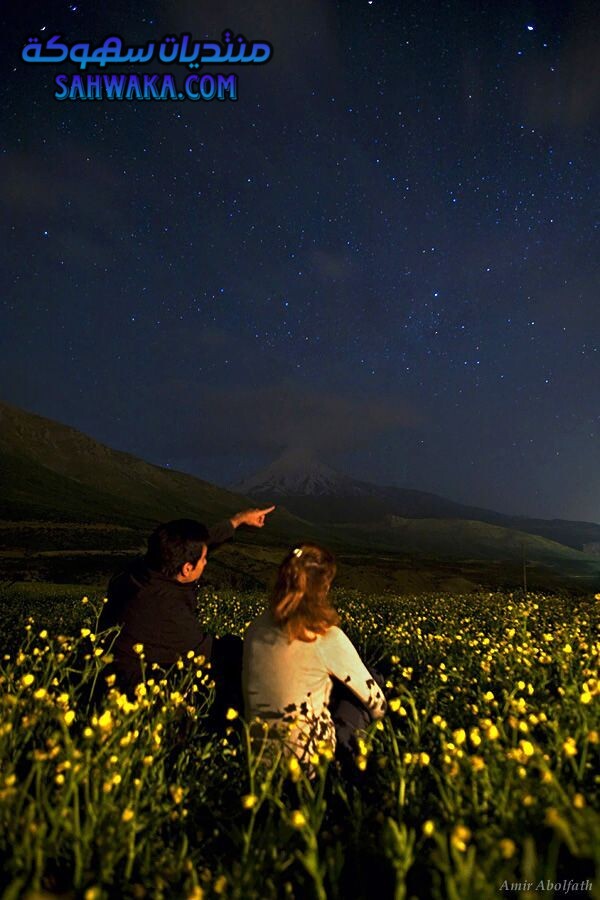 6ff2a3c471142f2869a9ee65a74b8596