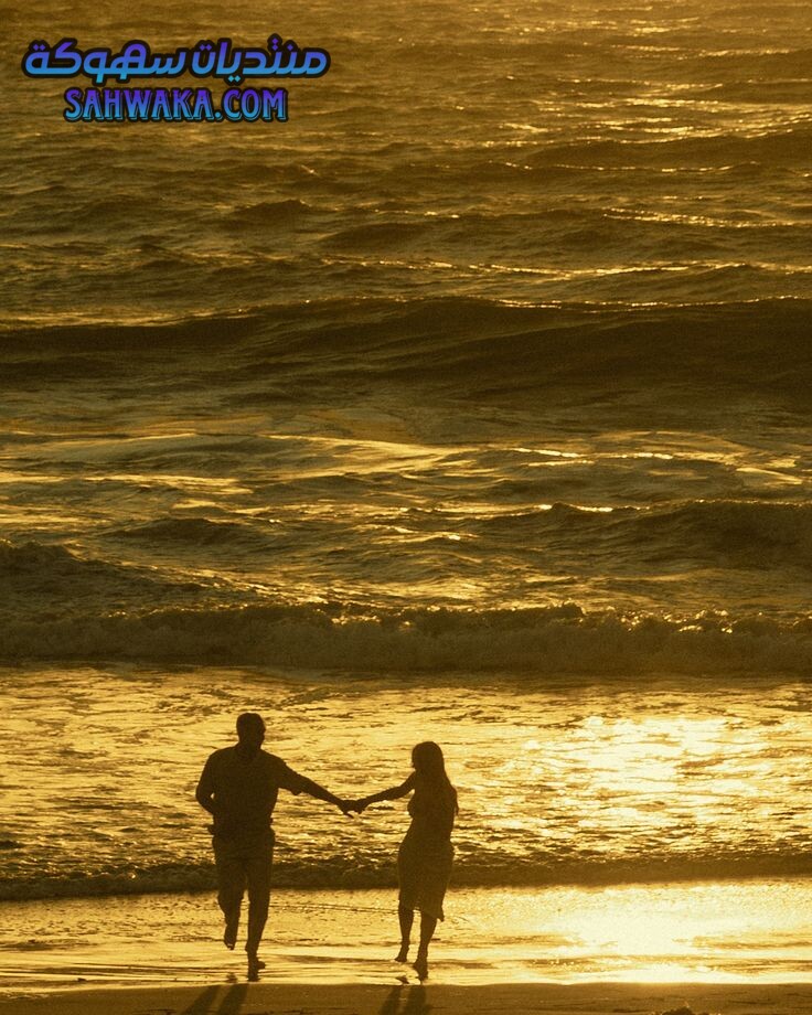 7fc81e4381fe6b0c06156c6ad7530caa