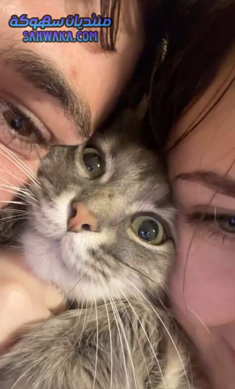 9062a57caa10a3441a7348056d76662f