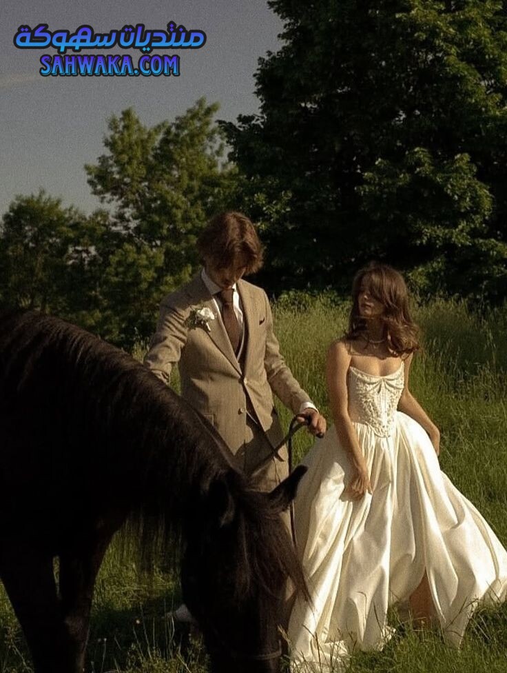 92ef02ad5ef6e005e1a78e53a28b5426